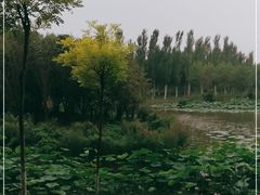 -东郊湿地公园