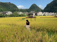 -高荡千年布依古寨旅游景区