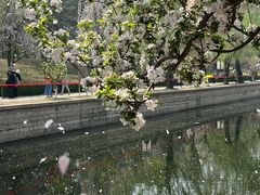 -元大都城垣遗址公园