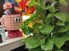 -鹿栖.精油SPA(金山世纪城店)