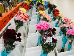-盒马X会员店(王府井奥莱UP TOWN店)