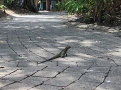 -可伦宾野生动物保护区