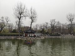 -莲湖公园