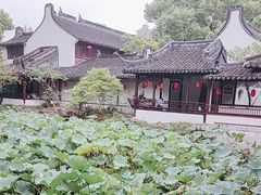 -上海醉白池公园