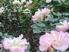 -人民公园(罗湖区)