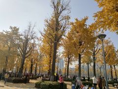 -两江幸福广场