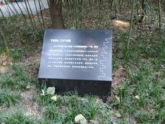 -木塔寺遗址生态公园