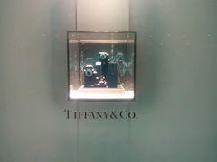 -Tiffany & Co.蒂芙尼
(广州太古汇店)