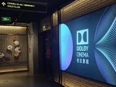 -万达影城(闵行颛桥万达广场杜比影院店)