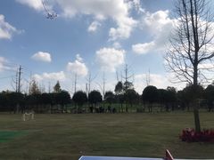 -洪湖家庭农场·团建·露营·会议