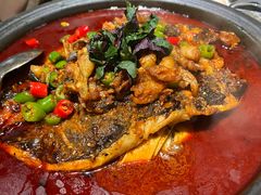 -探鱼·鲜青椒爽麻烤鱼(天一广场店)