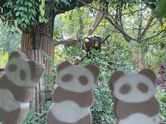 -成都大熊猫繁育研究基地