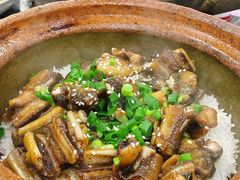 -红星光发煲仔饭(大石街店)
