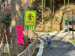 -东明山森林公园