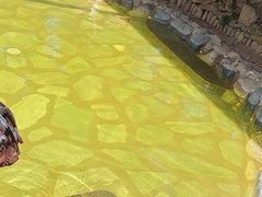 -山湖温泉