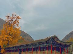-狮子沟牧场