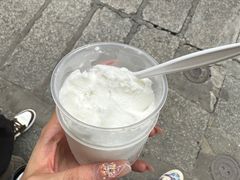 -洪馨椰子