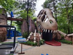 -森波拉火山温泉