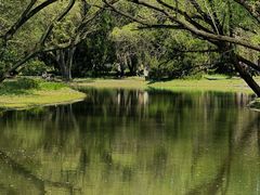 -上海共青森林公园