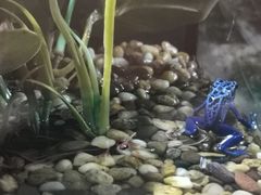 -暹罗海洋世界