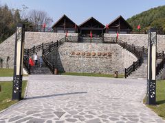 -云岭野山参风景区