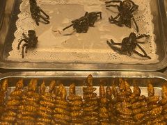 -长沙简牍博物馆