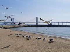 -大连圣亚海洋世界