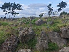 -柱状节理带