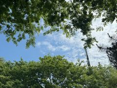 -北岭山森林公园