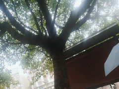 -南关石牌坊古镇