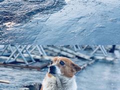 -水洞沟旅游区