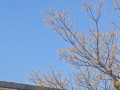 -文武王氏烧饼·无矾油条(西溪路店)