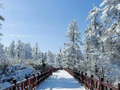 -瓦屋山景区