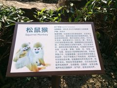 iphone_upload_pic-昆山城市生态森林公园