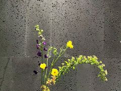 -帝京日语(春熙路旗舰校区)