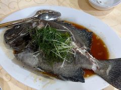 -老字号蛇口德记烧腊饭店·海鲜加工
