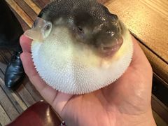 -永安鱼庄·镇江菜(丁卯店)