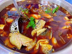 -云溪河冷锅鱼(成都玉林小吃街店)