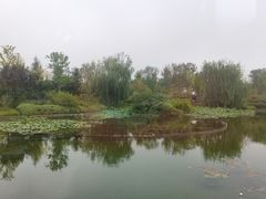 -窗外西餐厅(普罗理想国店)