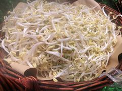 -鸽子窝(青塔店)