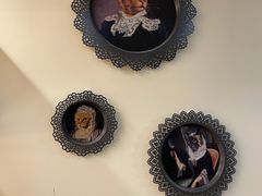 -滚猫咖啡·猫咖·猫友好撸猫(未来城店)