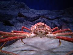 -新加坡海洋生态馆