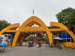 -金花茶公园