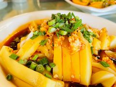 -龙翔山庄雷鸡肉(青城后山泰安古镇店)