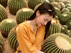 -深圳仙湖植物园-停车场