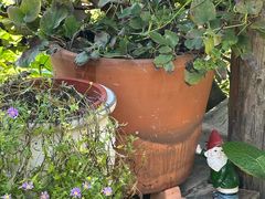 -荒度咖啡(北九水店)