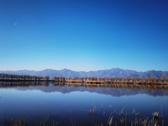 -野鸭湖国家湿地公园