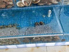 -聚德福海鲜家常菜(刘庄店)