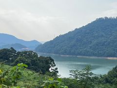 -广州市流溪河国家森林公园