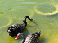 -北京鹿世界主题园